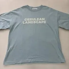 AMERICAN HOLIC ロゴTシャツ ミント Lサイズ