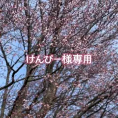 けんぴー様専用　フォロー割　ホワイトパールネックレス