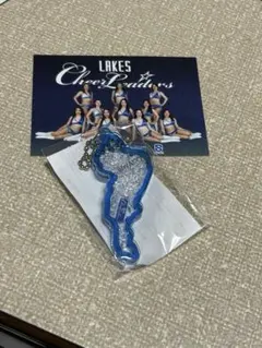 滋賀レイクス キャラクターグッズ