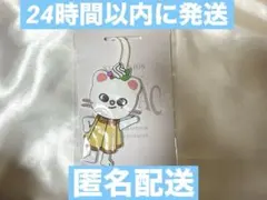 Straykids スキズ ジニレット ラゲッジタグ skzoo ヒョンジン