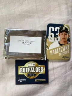 2026年最新】山﨑颯一郎の人気アイテム - メルカリ