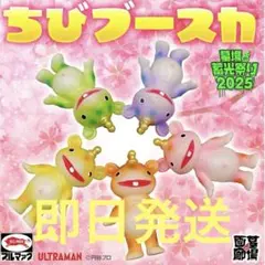 2025年最新】ブルマァク ブースカの人気アイテム - メルカリ