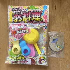 ポケモン タケルライコ ホログラム マグネット
