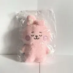 BT21 COOKY ぬいぐるみ たっとん ベビー ねとん S ジョングク