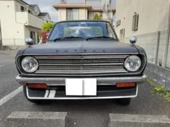 サニトラ【ショートボディ】