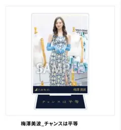 2026年最新】メンバー名：梅澤美波 アクリルスタンドの人気アイテム