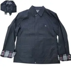 Item thumbnail for item 1f3b0d0f-b7ad-4f8e-955b-710e8edb495d