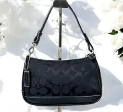 【美品】コーチ COACH シグネチャー ハンドバッグ アクセサリーポーチ　黒