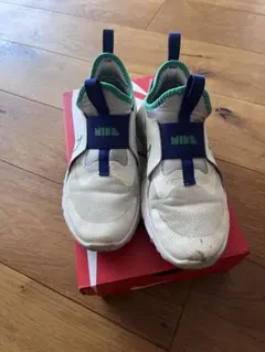 Nike スニーカー ホワイト/グリーン/ブルー