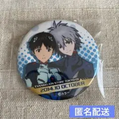 匿名配送 エヴァンゲリオンストア 2014 月替り 碇シンジ 渚カヲル 缶バッジ