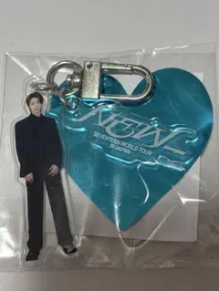 SEVENTEEN ワールドツアー キーホルダー　アクキー　THE8