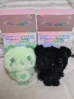 NCT WISH COLOR DOLL サクヤ パン 緑 シクリッド セット