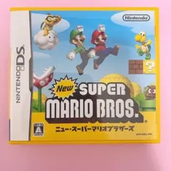 最終値下げ価格！ニュースーパーマリオブラザーズ　DS