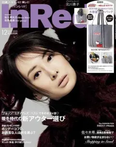 インレッド雑誌