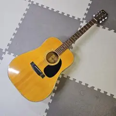 Morris アコースティックギター W-15