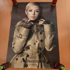 2026年最新】Aquascutum アイテム種別：ポスター ミュージシャン