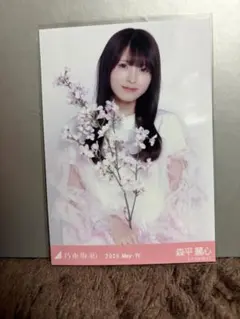 2026年最新】乃木坂46森平麗心の人気アイテム - メルカリ