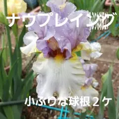 ももちゃん様 リクエスト 2点 まとめ商品