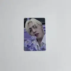 2025年最新】seventeen your choiceの人気アイテム - メルカリ