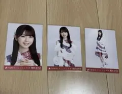 ひめたんの隠しミートボール様 リクエスト 2点 まとめ商品