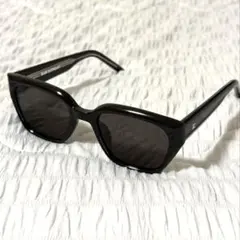 BLUE ELEPHANT BION Black サングラス 美品