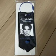 LDH LIVE EXPO 登坂広臣　ミニタペストリー