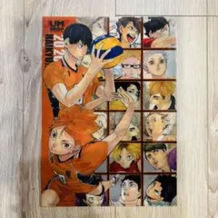 ハイキュー　クリアファイル