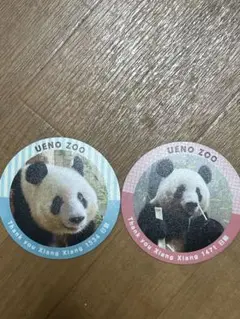 上野動物園 シャンシャン コースター 2枚セット