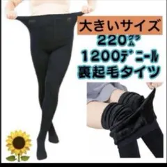 Item thumbnail for item ecf8736e-ec29-4603-923c-1a8dfa33f366