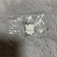 サンリオふわふわスノー　ポチャッコ