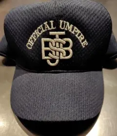 Item thumbnail for item 1df1309e-7cb4-48ca-89a4-86365af151d5