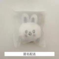 スキズ　リービット　キーリングシルバー