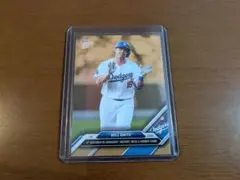 Item thumbnail for item 51ffc54e-6539-46ab-90a0-d98906683643