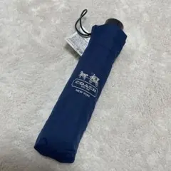 Item thumbnail for item 43f70007-4ee8-4b9c-b466-362457f324be