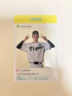 Tigers 今朝丸選手 toraco 配布カード