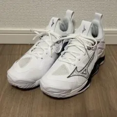 バレーボールシューズ新品未使用