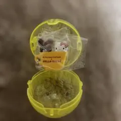 くまのがっこう×Hello Kitty めじるしアクセサリー　ジャッキー×キティ