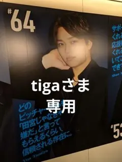 tigaさま専用