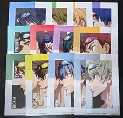 ◎ Free! チェンジングジャケット １２枚セット