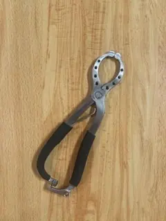 Item thumbnail for item 7fcf598a-0da8-432e-a401-3719e1f5d26d