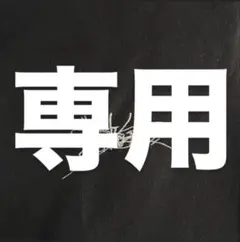 ゆずこしょう→様専用