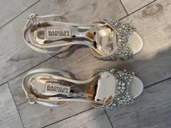 Item thumbnail for item d09e5dce-5d34-4d25-8651-feb9ab6d89c6