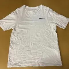 patagonia オーガニックコットン Tシャツ Sのサムネイル