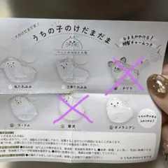 うちの子のけだまだま　三角たれみみ