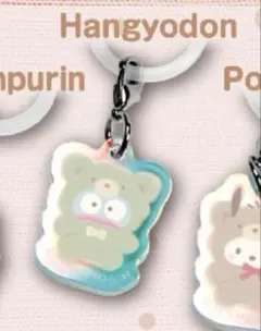 <ハンギョドン>サンリオキャラクターズ アクリルチャーム チョコinスナック