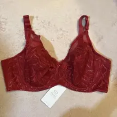 専用　ダイアナ　ブラジャー　新品未使用 2026年最新】ダイアナ ブラジャーの人気アイテム - メルカリ