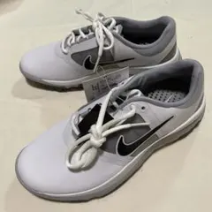 Item thumbnail for item cfe6f31d-638e-40d3-807c-9df16171dc28