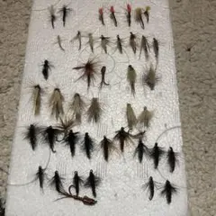 Item thumbnail for item 5b0354a1-fae4-491f-8744-8eb998b21cb9