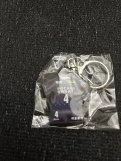徳島ヴォルティス ユニフォーム型ぷっくりラバーキーホルダー