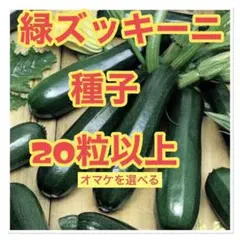 プロフ必見CTMRI※火金発送予定様 リクエスト 6点 まとめ商品